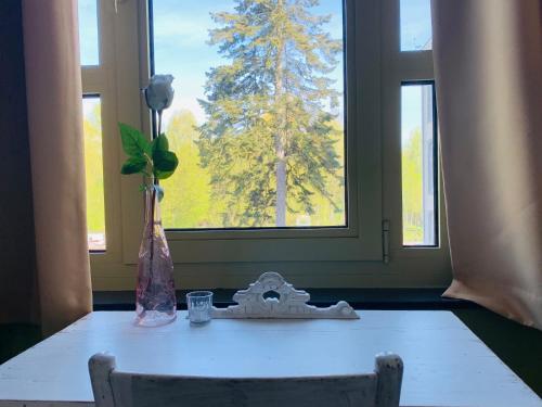a table with a vase of flowers and a window at De Lotuspoort met Mihr's B&B in de Abdij van Bornem in Bornem