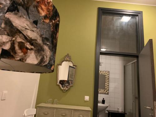 a bathroom with a toilet and a mirror at De Lotuspoort met Mihr's B&B in de Abdij van Bornem in Bornem