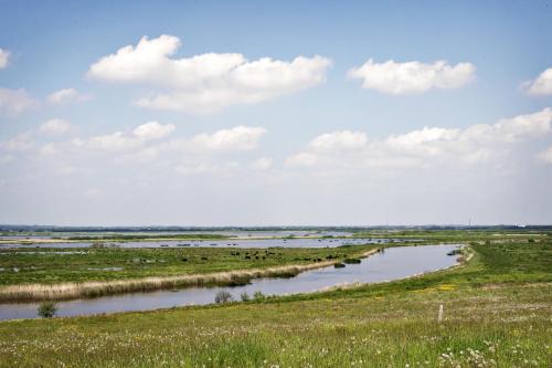a river in the middle of a field at Hotel Skjern in Skjern