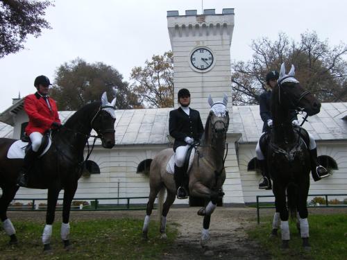 Катание на лошадях на территории фермерского дома или поблизости