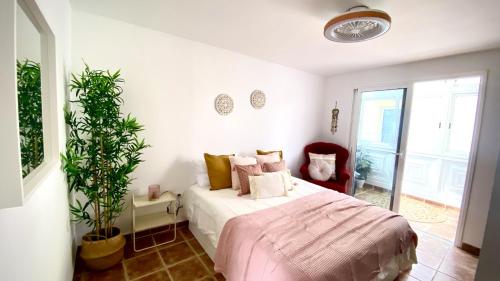 阿羅納的住宿－Atardecer Rosa Sobre el Mar By Deihu Experiencias，一间卧室配有一张床和盆栽植物