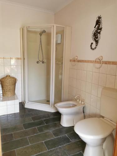 a bathroom with a toilet and a shower at Flinders Island Masters Quarters - Lady Barron in Lady Barron