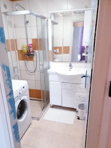 a bathroom with a washing machine and a sink at LjubljanaArt Apartment in Ljubljana