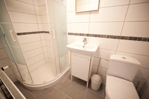 a bathroom with a toilet and a sink and a shower at Pervalkos vetrunges in Neringa