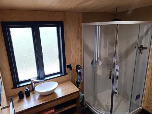 a bathroom with a shower and a sink and a sink at Renagour Cottage - Farmstay with Hot Tub! in Whanganui