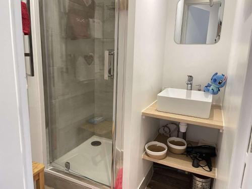 baño pequeño con ducha y lavamanos en Appartement Risoul, 1 pièce, 5 personnes - FR-1-330-568, en Risoul