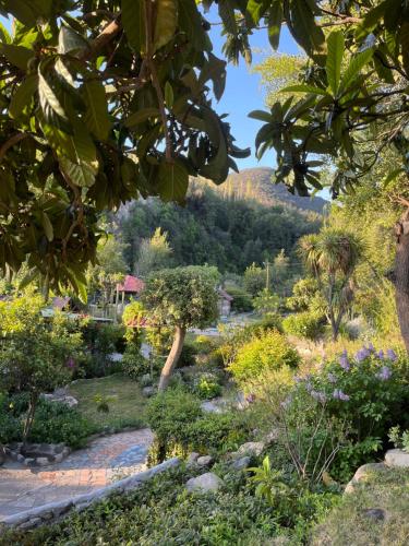 a garden with flowers and a mountain in the background at CASARMONIA in Peumos