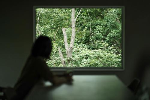 eine Person, die aus einem Fenster auf einen Wald blickt in der Unterkunft The VILLA SHUN in Otaru