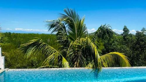deux palmiers en face d'une piscine dans l'établissement Villa Lavany, à Nosy Be