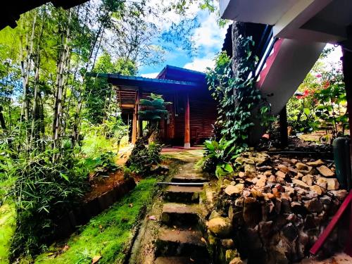 a house in the woods with a pathway leading to it at Little Folly in Ella