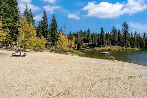a bench on a beach next to a body of water at Sunny, Spacious & Pet Friendly - Creekside #39 in Bear Valley