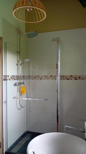 une salle de bain avec une douche, un lavabo et une baignoire dans l'établissement Maison au calme nature et plage La Cabane du Marais, à Saint-André-de-Seignanx