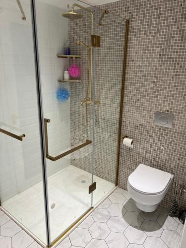 a bathroom with a shower and a toilet at SUITE DELUXE au carré cathédrale en HYPERCENTRE Saint Denis in Saint-Denis