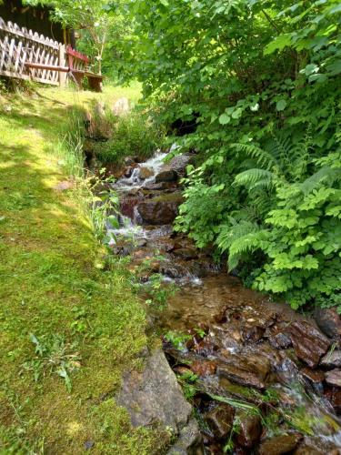 a stream in the middle of a field with grass and trees at Haus Alexander in Fresach