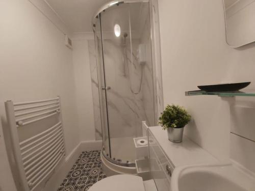 a bathroom with a shower and a toilet and a sink at The Cozy Landport Loft in Portsmouth