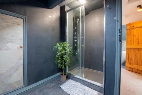een badkamer met een douche en een potplant bij The Waterfall Retreat in Penrith