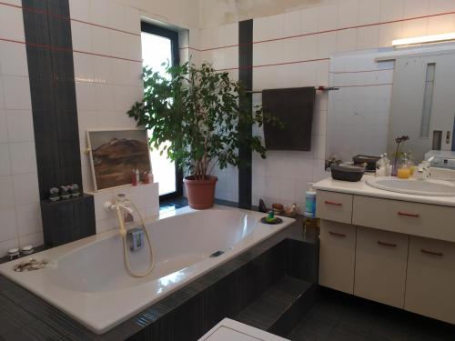 uma casa de banho com uma banheira grande e um lavatório em Ο κόκορας em Artemida