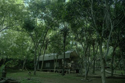 ein Gebäude inmitten eines Waldes von Bäumen in der Unterkunft River Glamping by Gaga bees in Udawalawe