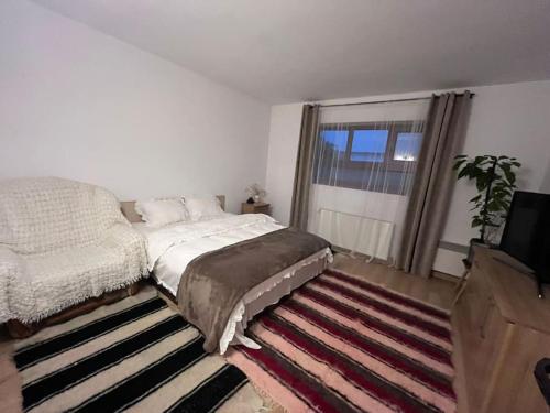 um quarto com uma cama, uma janela e um tapete em Rustic house em TÄƒuÅ£ii MÄƒgheruÅŸ