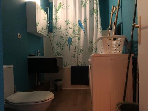 une salle de bain avec toilettes et rideau de douche dans l'établissement Amazone - Appart Au Top !, à Metz