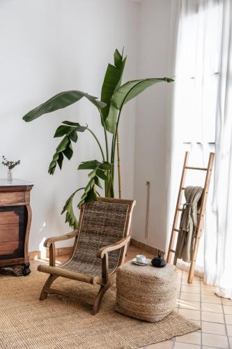 a room with a chair and a potted plant at Ca'n Beneït in Binibona
