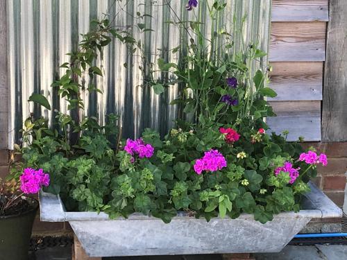 a stone planter filled with flowers in front of a fence at Prestwick Oak - Sleeps 10-14 - Group Accommodation for Family or Friends in Haslemere