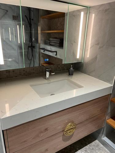 a bathroom counter with a sink and a mirror at SUITE MAJESTIEUSE T2T3 au carré cathédrale en HYPER-CENTRE Saint Denis in Saint-Denis