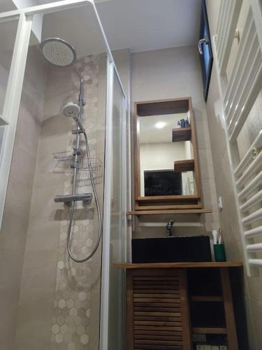 une salle de bain avec douche et lavabo dans l'établissement Loft Paris centre face au parc des buttes Chaumont, à Paris