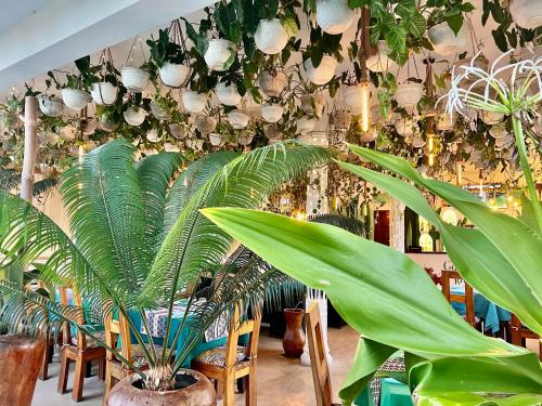 ジャンビアニにあるGadea Boutique Hotel& Gadea Garden Italian Restaurantの鉢植えの植物と灯りがたくさんある部屋