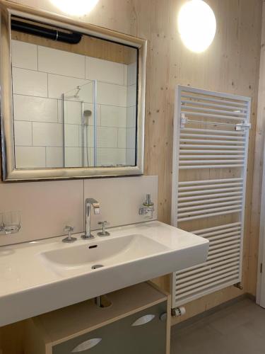 La salle de bains est pourvue d'un lavabo et d'un miroir. dans l'établissement Your Cozy City Bungalow, à Baden