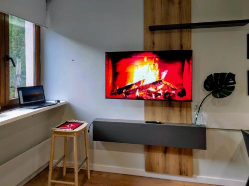 Телевизор и/или развлекательный центр в Apartman SPEEDY Gondola