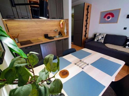 Кухня или мини-кухня в Apartman SPEEDY Gondola
