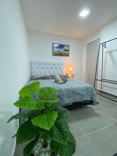 a bedroom with a bed with a plant in the foreground at Suite Vargem Grande 2 - praia, cachoeira e trilhas in Rio de Janeiro