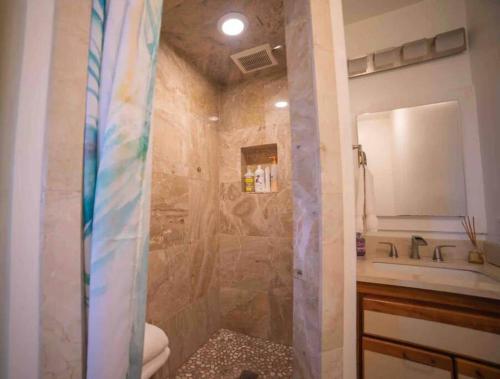 W łazience znajduje się prysznic, toaleta i umywalka. w obiekcie Helehele Hale w mieście Hana