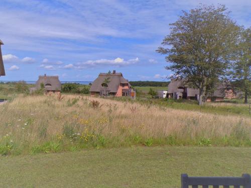 Naturlandskabet i nærheden af feriehuset