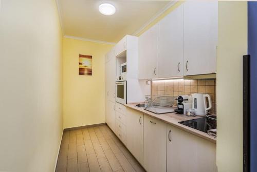 Kuchyňa alebo kuchynka v ubytovaní Venus Apartments - Synagogue I