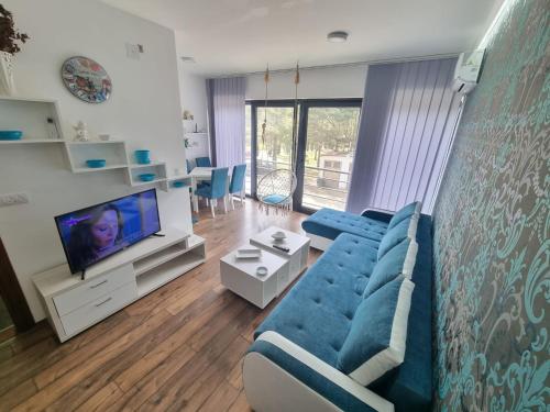 ein Wohnzimmer mit einem blauen Sofa und einem TV in der Unterkunft Apartman Ruzmići Divčibare in Divčibare