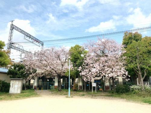 Wakyo Tsuruhashi 1F - 9 min walk &3BR Apt for 6 & Near Onsen & JR Direct to Namba, Nara & USJ