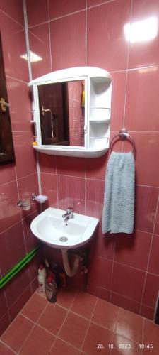 a red tiled bathroom with a sink and a mirror at Vikendica Popovic in Doboj