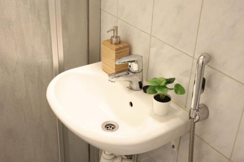 um lavatório de casa de banho com um vaso de plantas em Norden Homes City Centre 2-Bedroom Apartment + Free Parking em Turku