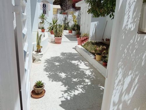 a walkway with potted plants in a white building at Appartements de luxe près de la mer in Nabeul