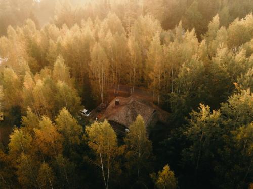 Природа в окрестностях шале