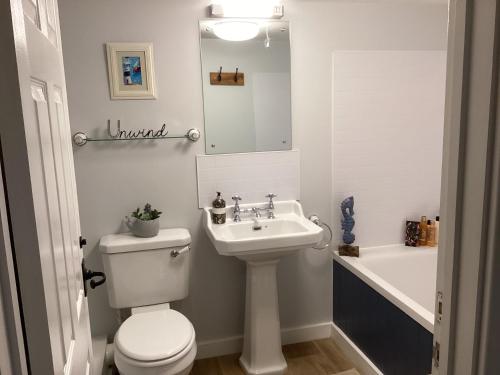 a bathroom with a toilet and a sink and a tub at Landlords Cottage a Country Retreat in Wellington