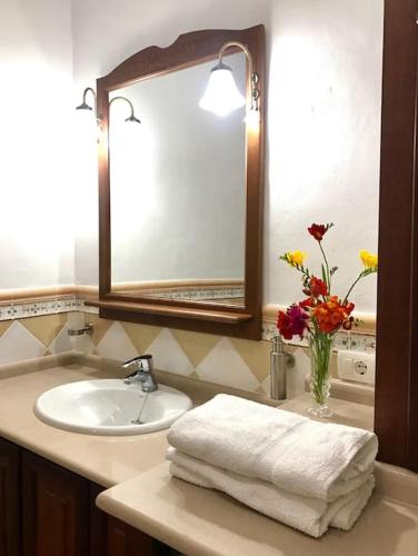a bathroom sink with a mirror and a vase of flowers at RUSTIC HOUSE LA MONTAÑA in Breña Baja