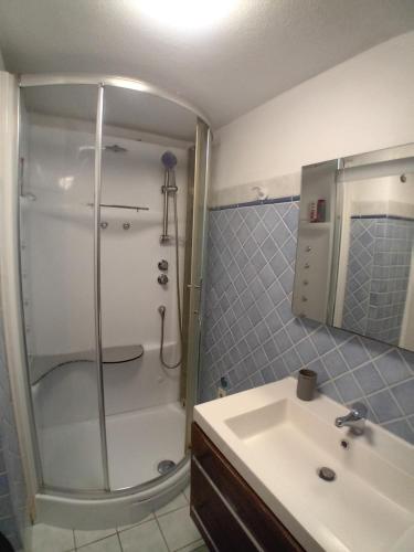 a bathroom with a shower and a sink at La Maison Dell'Amour in Boville Ernica