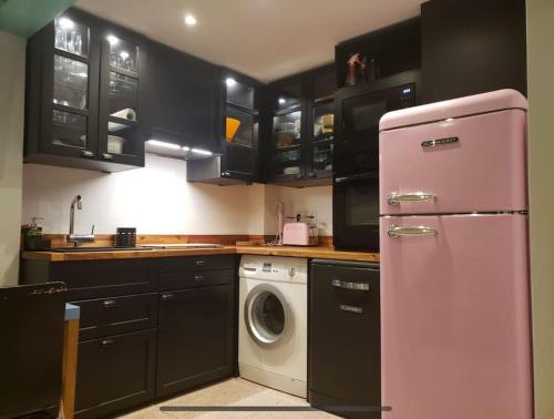 Il comprend une cuisine équipée d'un réfrigérateur rose et d'un lave-linge. dans l'établissement PARIS Le Marais Duplex, à Paris