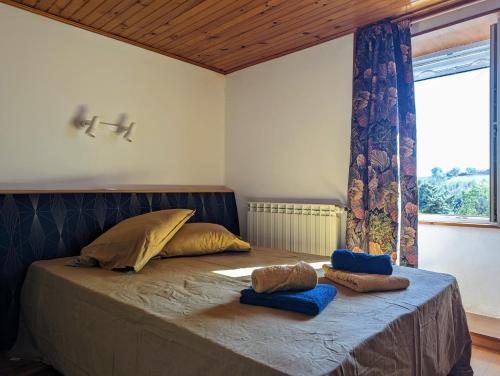 ein Schlafzimmer mit einem Bett mit zwei Kissen darauf in der Unterkunft Le Logis Fleuri 