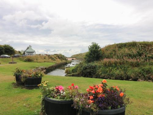a garden with flowers in pots in the grass at 15 Main Street in Peterhead