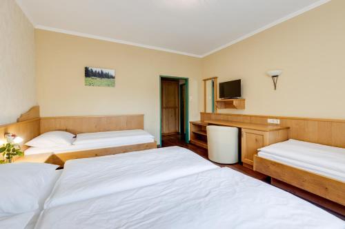 a hotel room with two beds and a tv at Gasthof zum Sessellift in Mitterbach