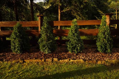 a wooden fence with two trees in front of it at Stacja Alpaka Duży Domek nad Zalewem Chańcza in Raków